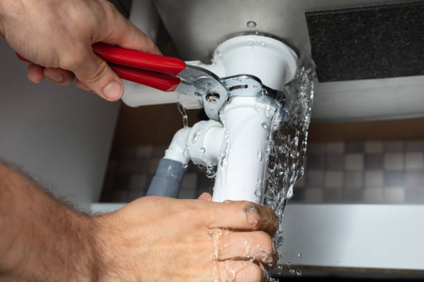 Best Flood restoration services  in Kathleen, FL