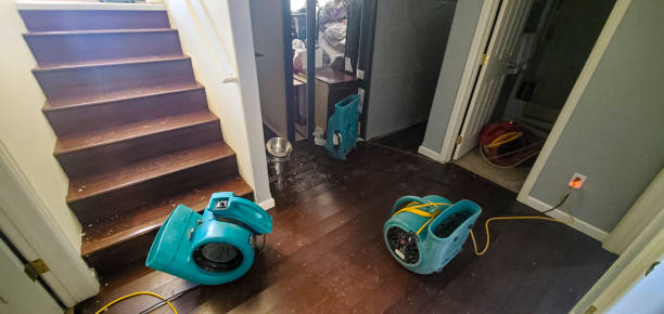 Best Water damage restoration near me  in Kathleen, FL