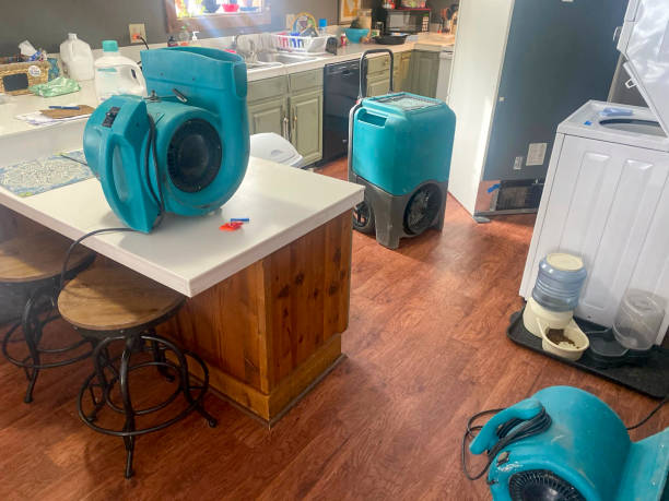 Best Water damage cleanup near me  in Kathleen, FL