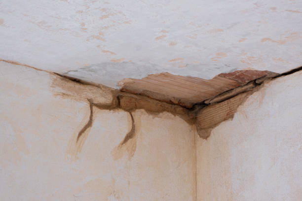 Best Flooded house restoration  in Kathleen, FL