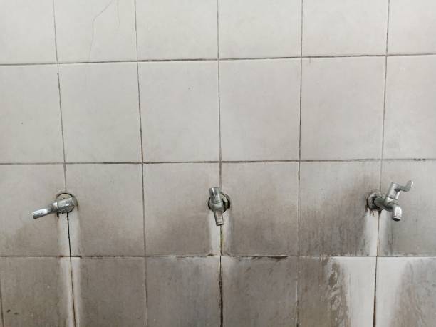 Best Carpet water damage restoration  in Kathleen, FL