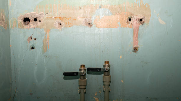 Best Water damage contractors near me  in Kathleen, FL
