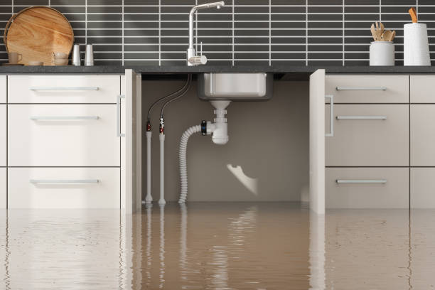 Best Professional water damage repair  in Kathleen, FL