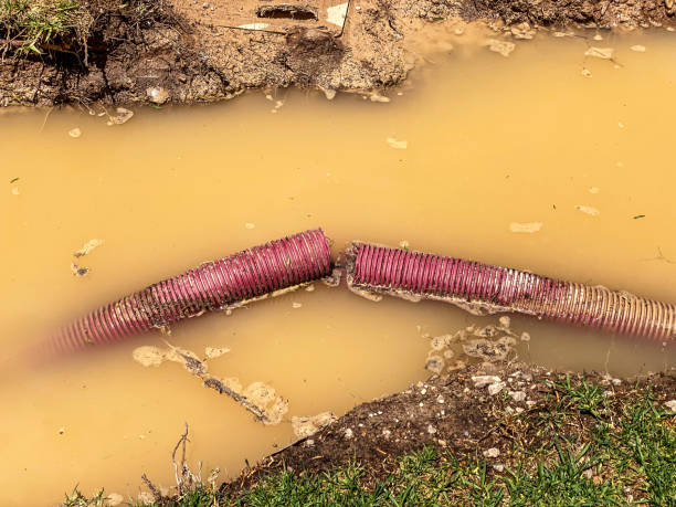 Best Residential water damage restoration  in Kathleen, FL